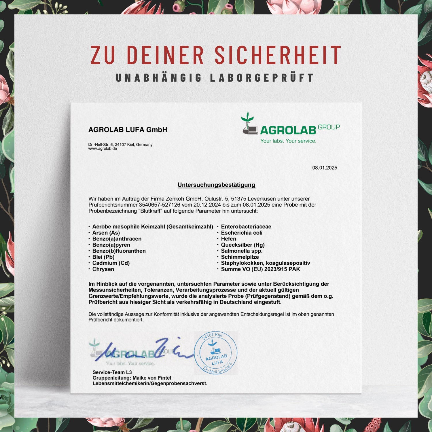 Blutkraft Eisen-Komplex Laborzertifikat