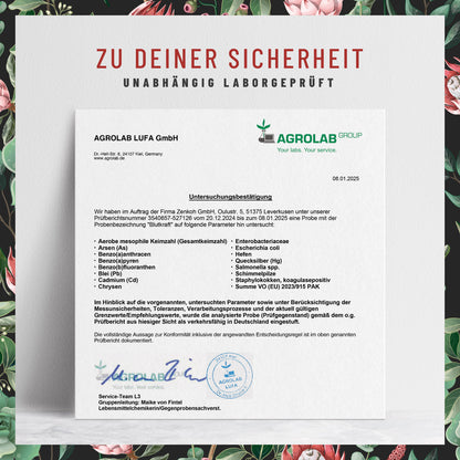 Blutkraft Eisen-Komplex Laborzertifikat