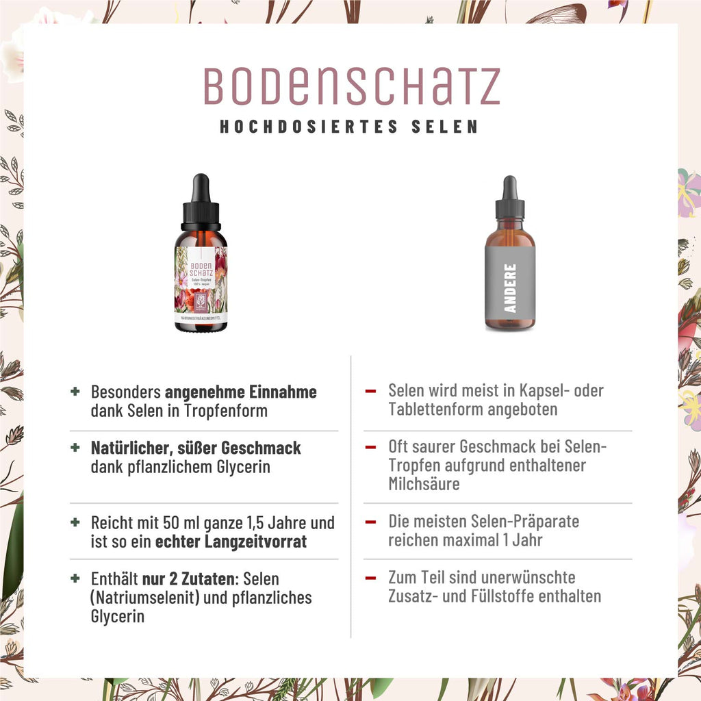 Bodenschatz Creative Vergleichstabelle 