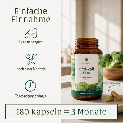Brokkoliblüte einfach in der Anwendung: 2 Kapseln täglich, nach einer Mahlzeit, tageszeitunabhängig – 180 Kapseln reichen für 3 Monate. Neben der Flasche sind einzelne Kapseln zu sehen, Kapselgröße 23,3 mm.