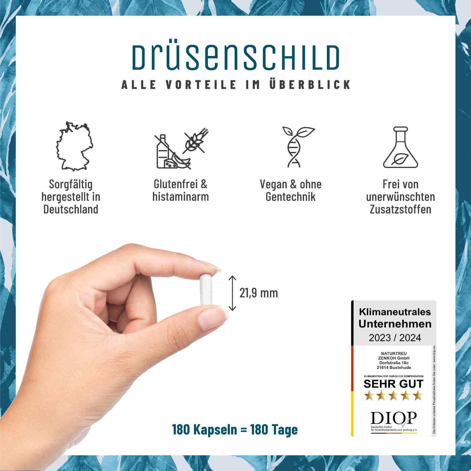 drüsenschild kelp komplex jod Alle Vorteile