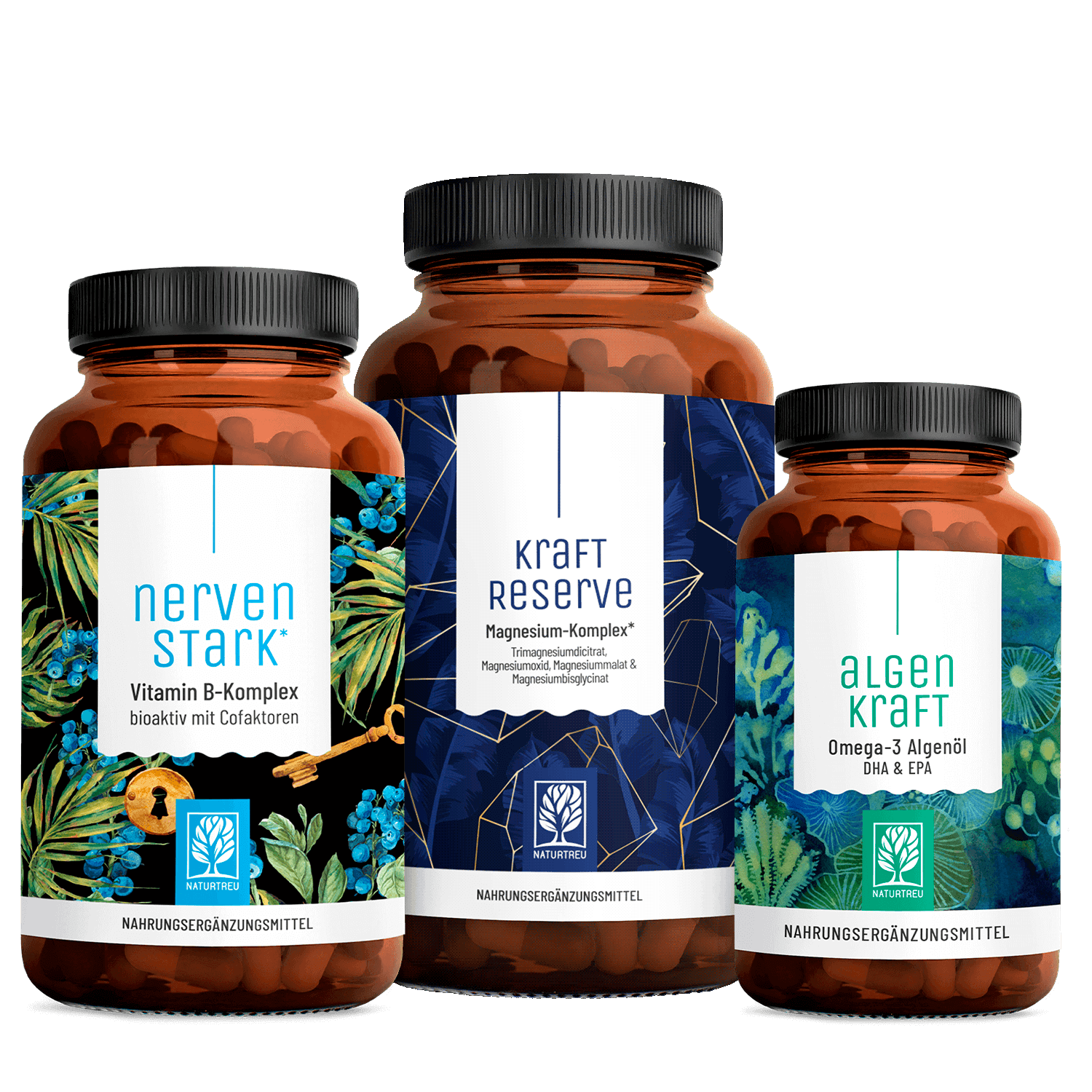 Durchstarter Paket Titelbild