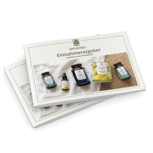 Einnahmeratgeber für unsere Produkte