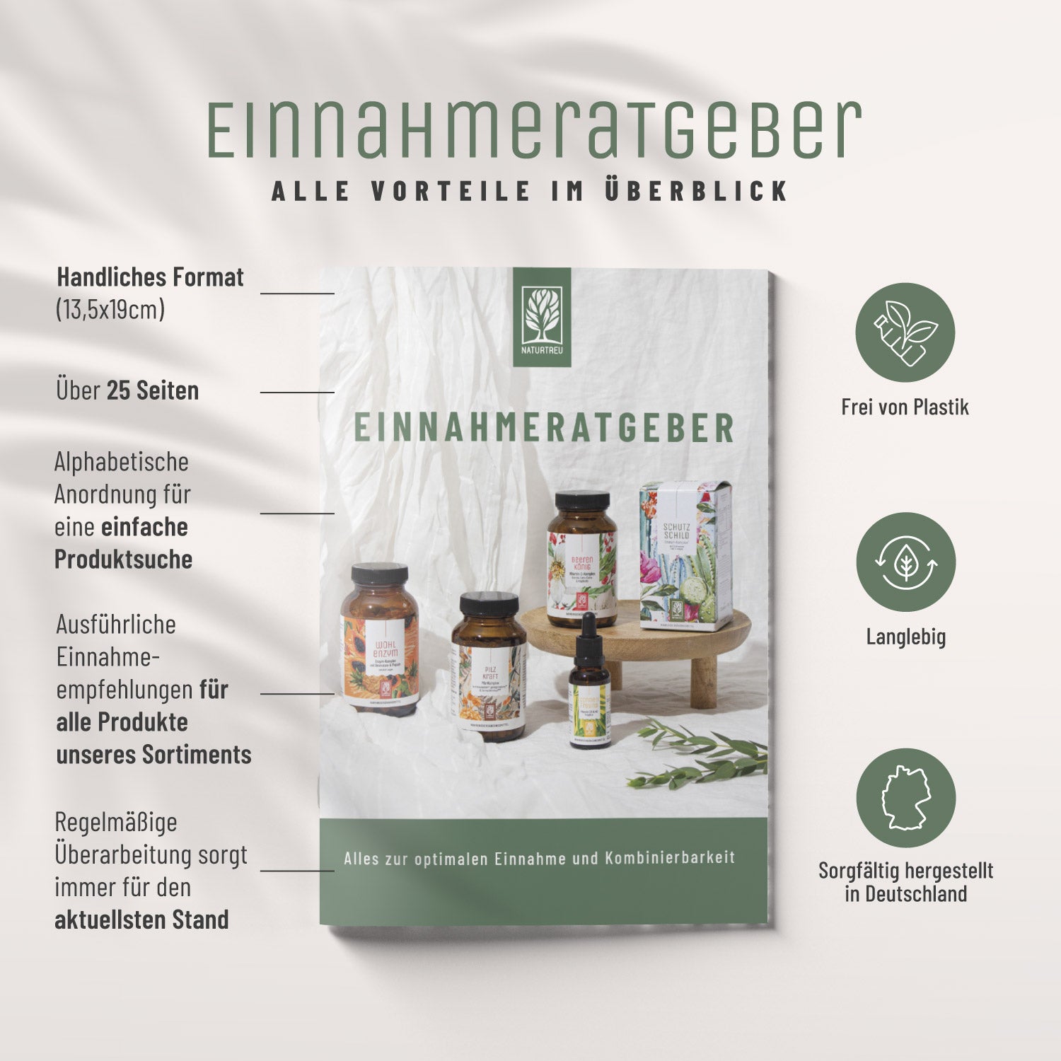 Einnahmeratgeber Moodbild_Vorteile