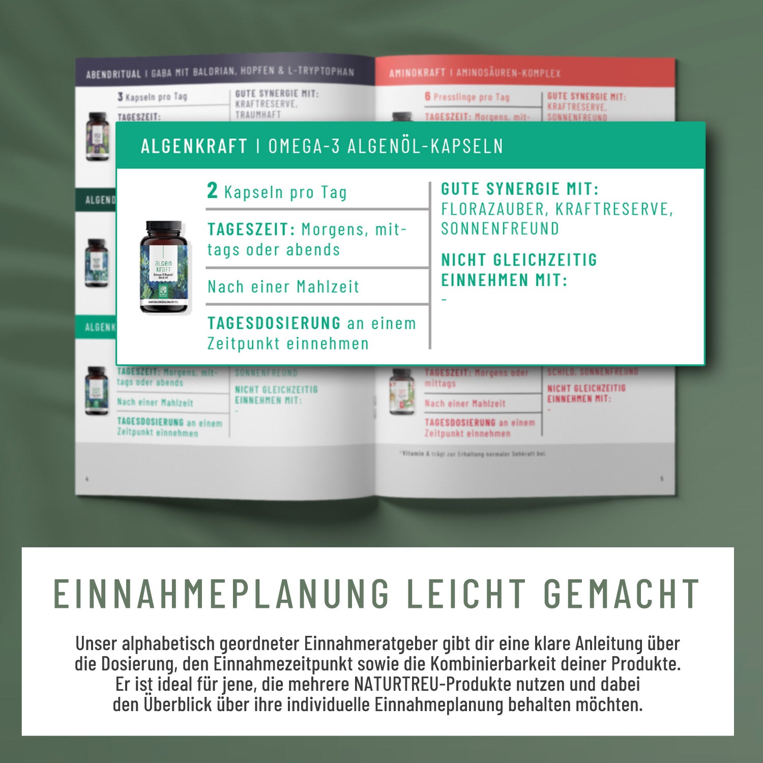 Einnahmeratgeber Moodbild Vorteile_2