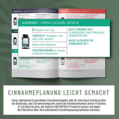 Einnahmeratgeber Moodbild Vorteile_2