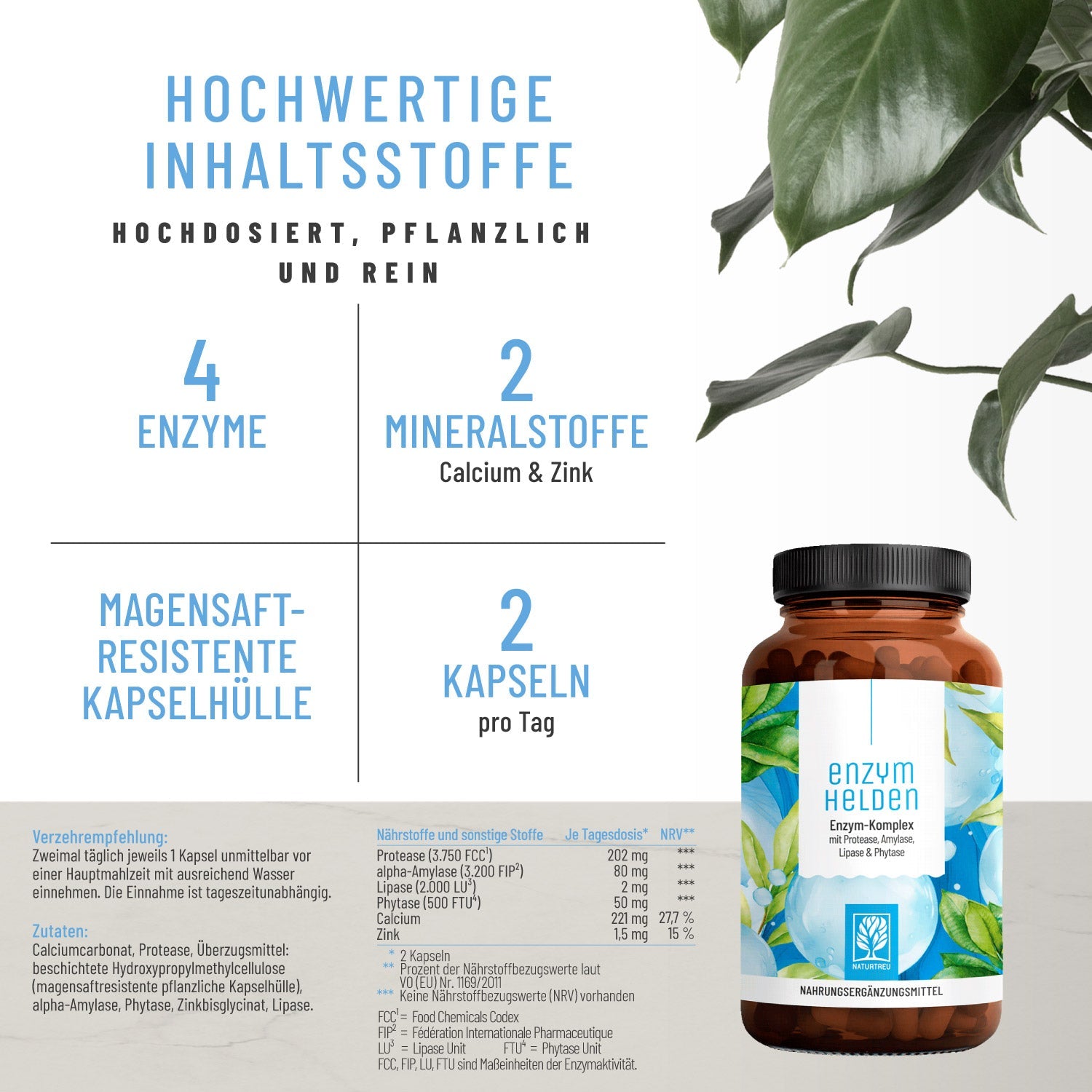 Enzymhelden Enzym-Komplex Hochwertige Inhaltsstoffe