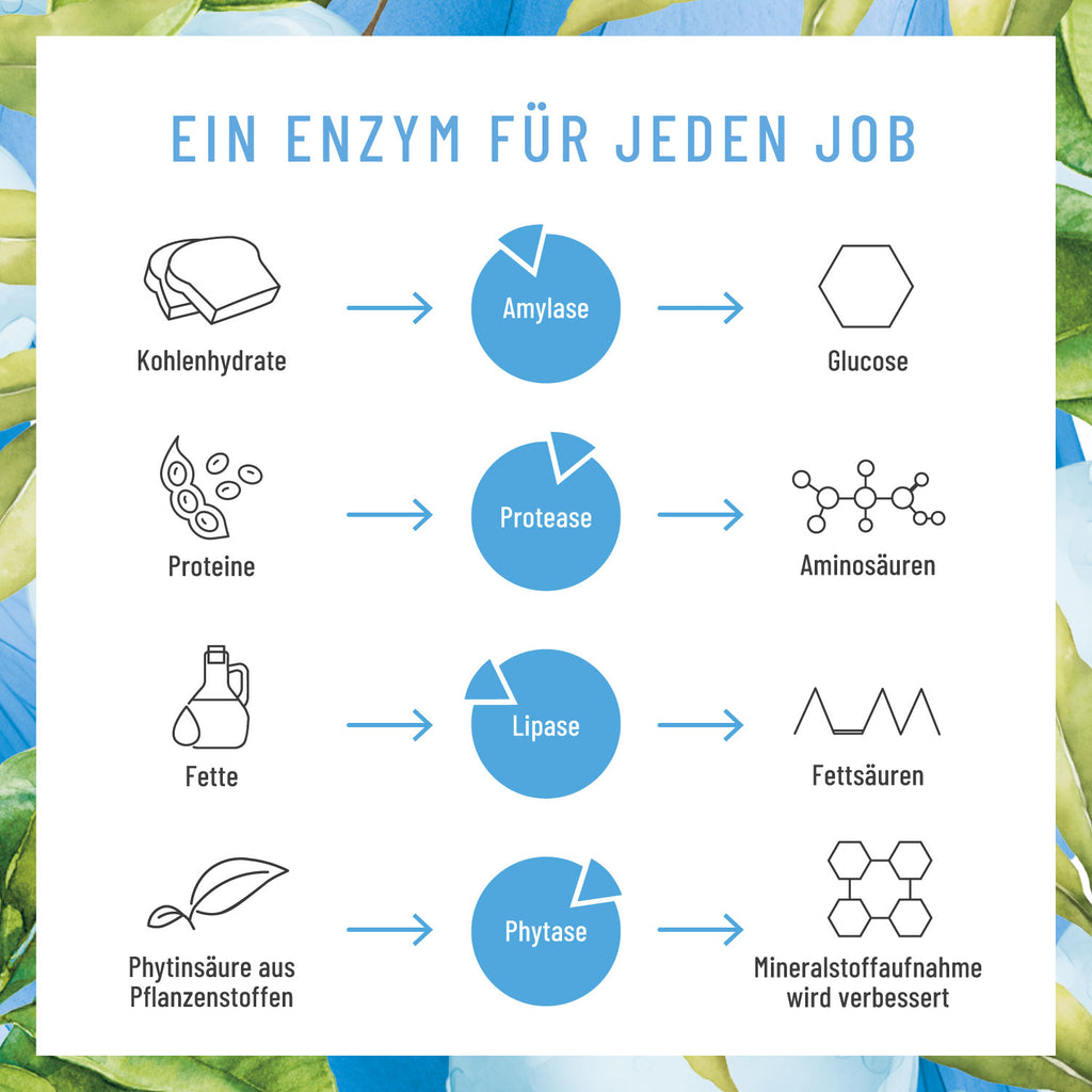Enzymhelden Enzym-Komplex Moodbild 02