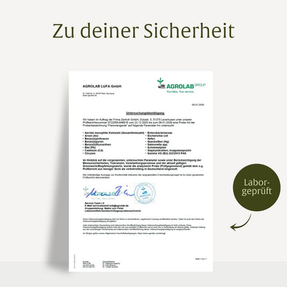 Flammengarde: Kurkuma Weihrauch Komplex mit Ingwer und Zimt