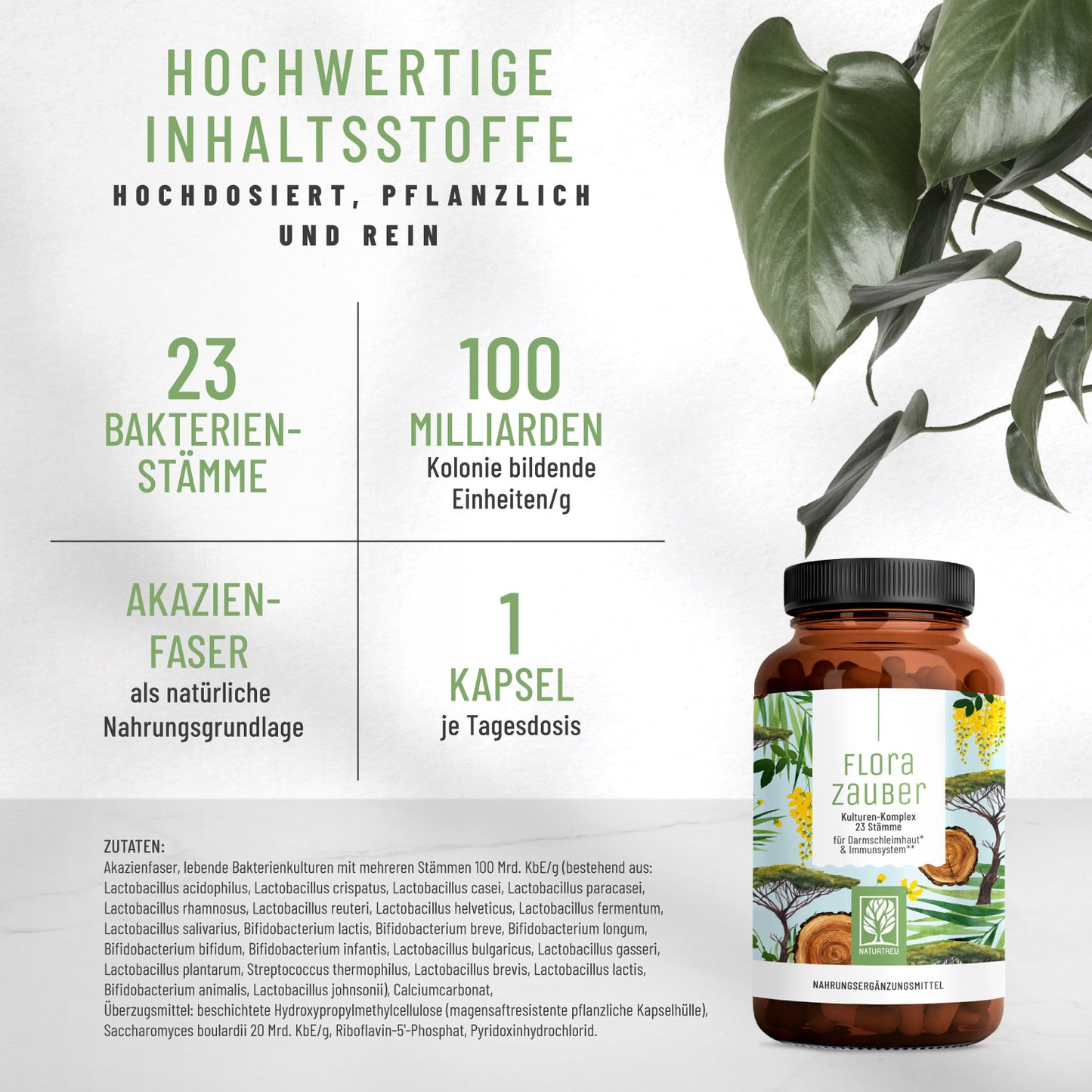 Florazauber Kulturen-komplex Inhaltsstoffe