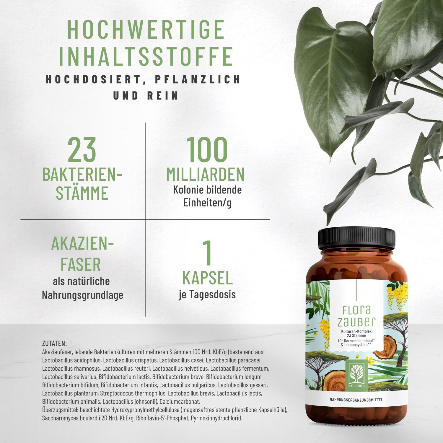Florazauber Kulturen-komplex Inhaltsstoffe