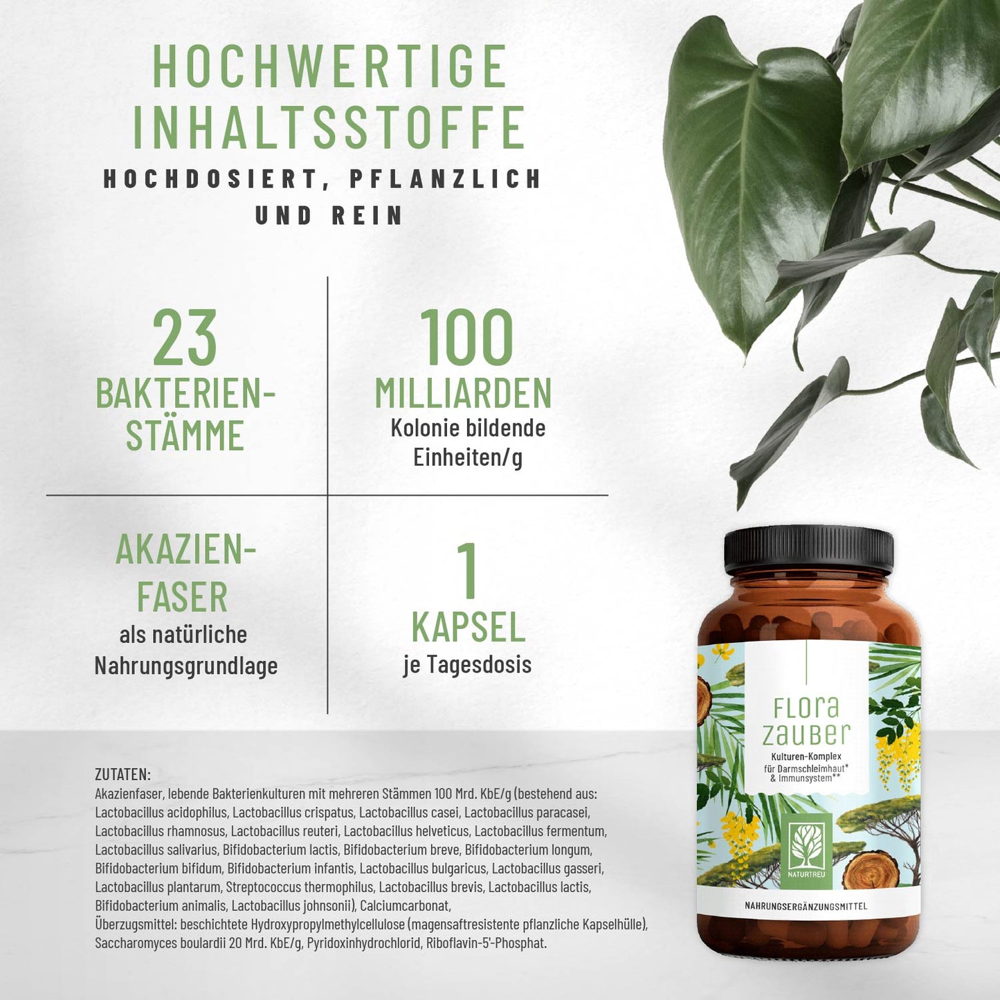 30 Tage Starter Sparpaket: Grundversorgung mit unseren Allroundern