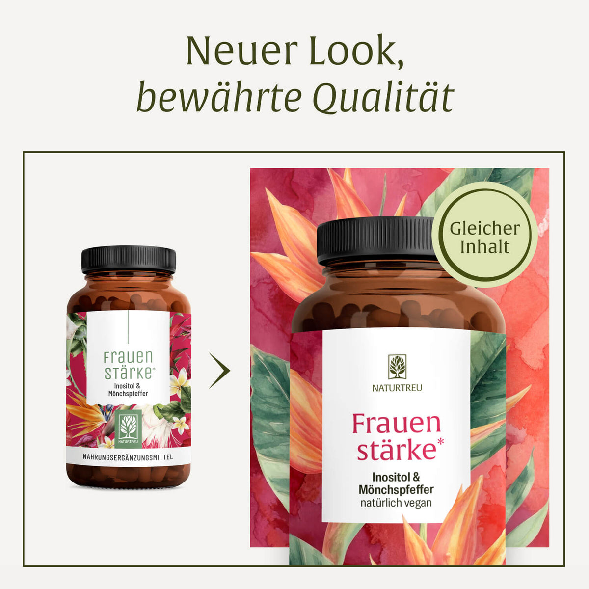 Frauenstaerke Inositol Moenchspfeffer Onlineshop Neues Design