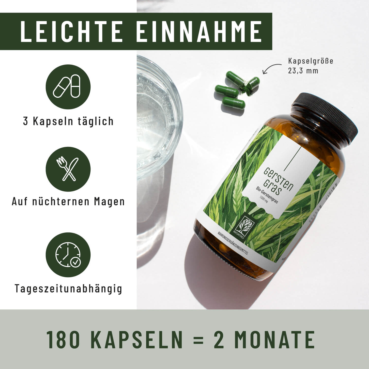 Gerstengras Creatives Onlineshop Einnahme