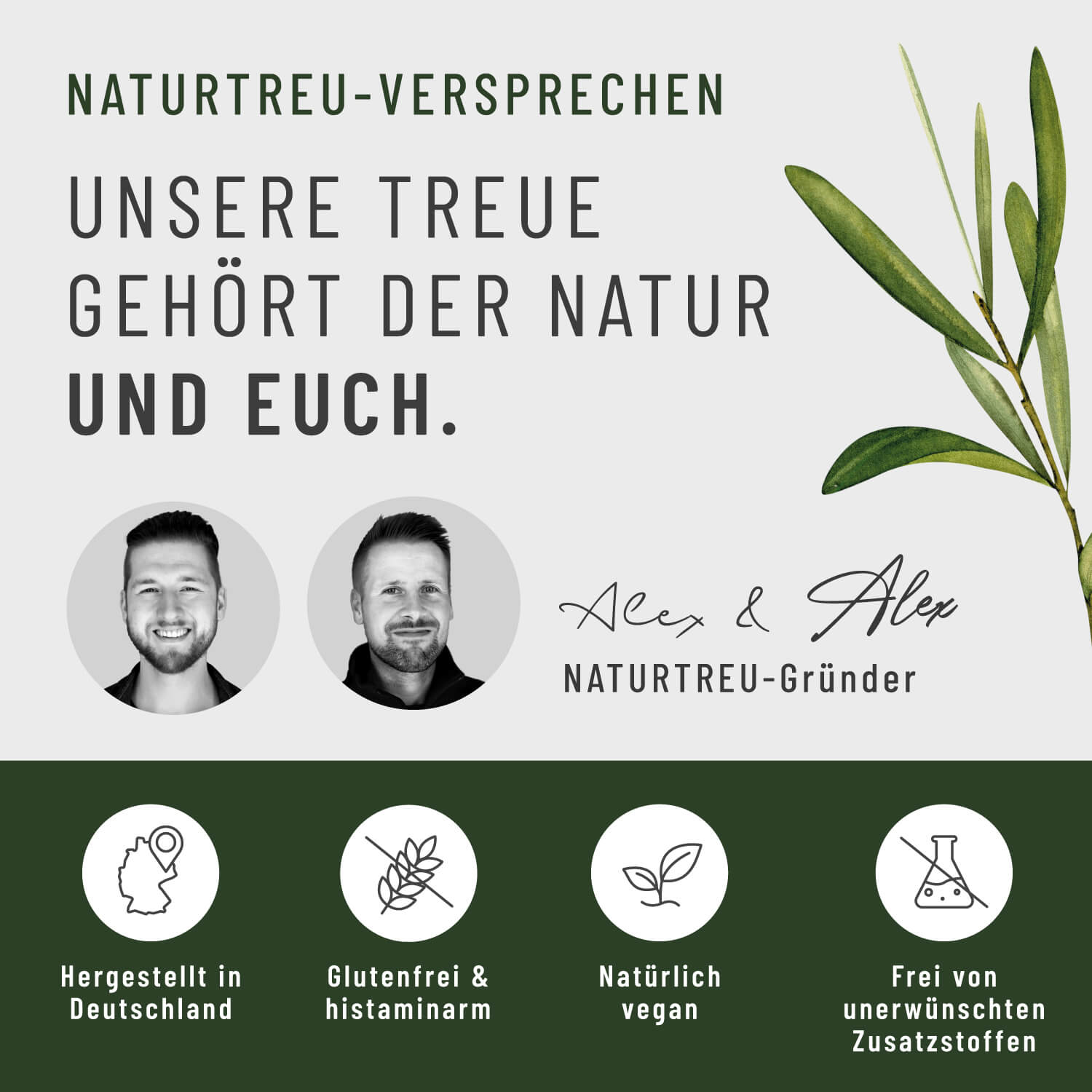 Gerstengras Creatives Onlineshop Versprechen