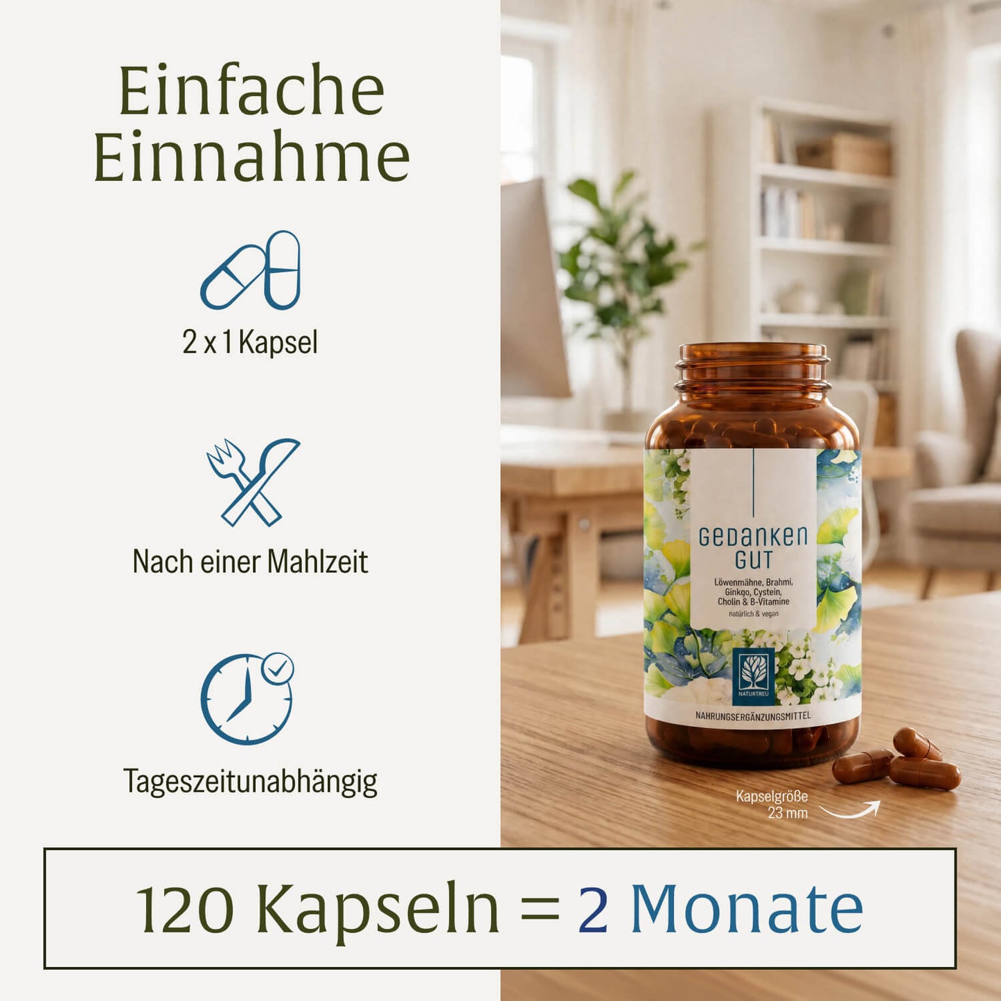 Gedankengut: Löwenmähne, Brahmi, Ginkgo, Cystein, Cholin & B-Vitamine