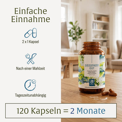 Gedankengut: Löwenmähne, Brahmi, Ginkgo, Cystein, Cholin & B-Vitamine