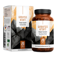 Gebirgskraft: Shilajit-Komplex mit Taurin, Ginseng, Schisandra & Zink