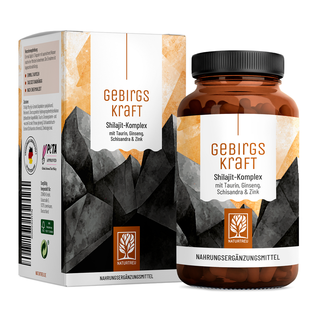 Gebirgskraft Shilajit-Komplex Titelbild