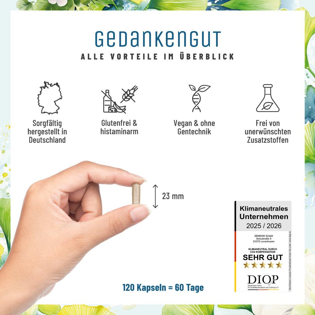 Gedankengut GEGU Löwenmähne -Brahmi Ginkgo Cystein Cholin -B-Vitamine Alle Vorteile DE