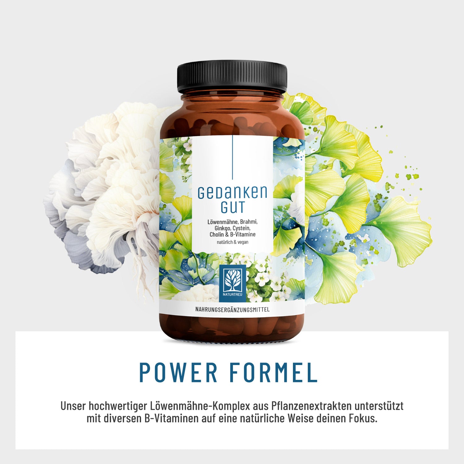Gedankengut Löwenmähne Brahmi Ginkgo Cystein Cholin B-Vitamine Power Formel