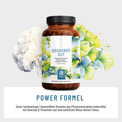 Gedankengut Löwenmähne Brahmi Ginkgo Cystein Cholin B-Vitamine Power Formel