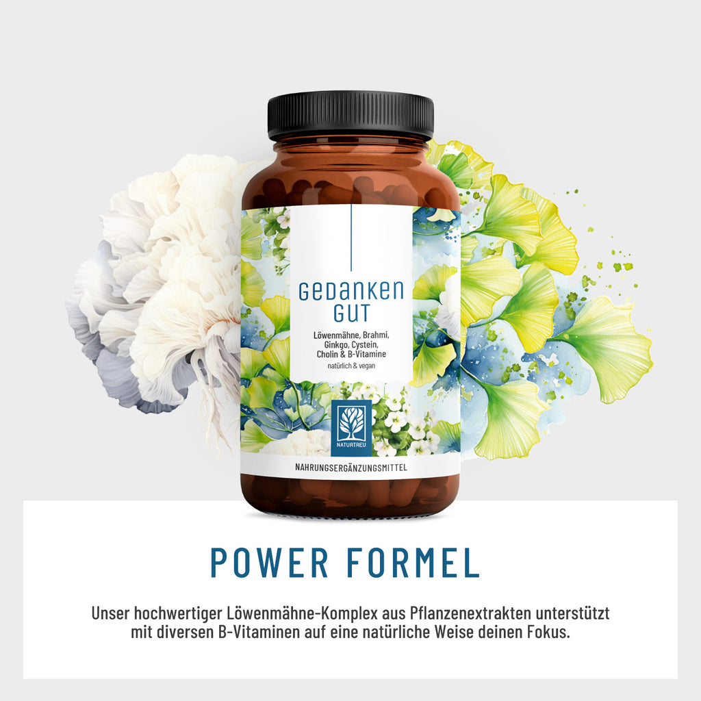 Gedankengut Löwenmähne Brahmi Ginkgo Cystein Cholin B-Vitamine Power Formel