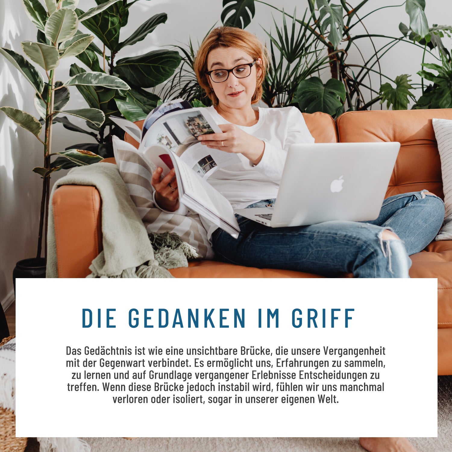 Gedankengut Löwenmähne-Brahmi Ginkgo-Cystein Cholin-B-Vitamine Moodbild