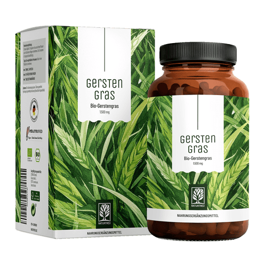 Gerstengras: Bio-Gerstengras