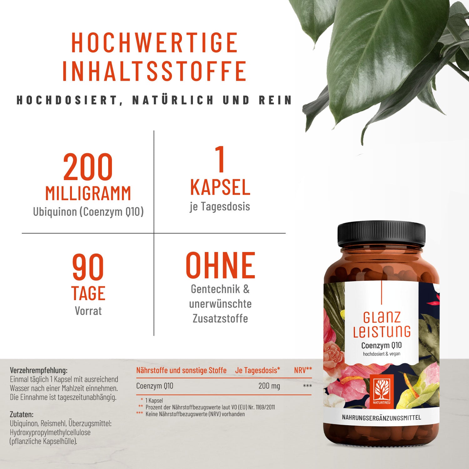 Glanzleistung Coenzym Q10 Hochwertige Inhaltsstoffe