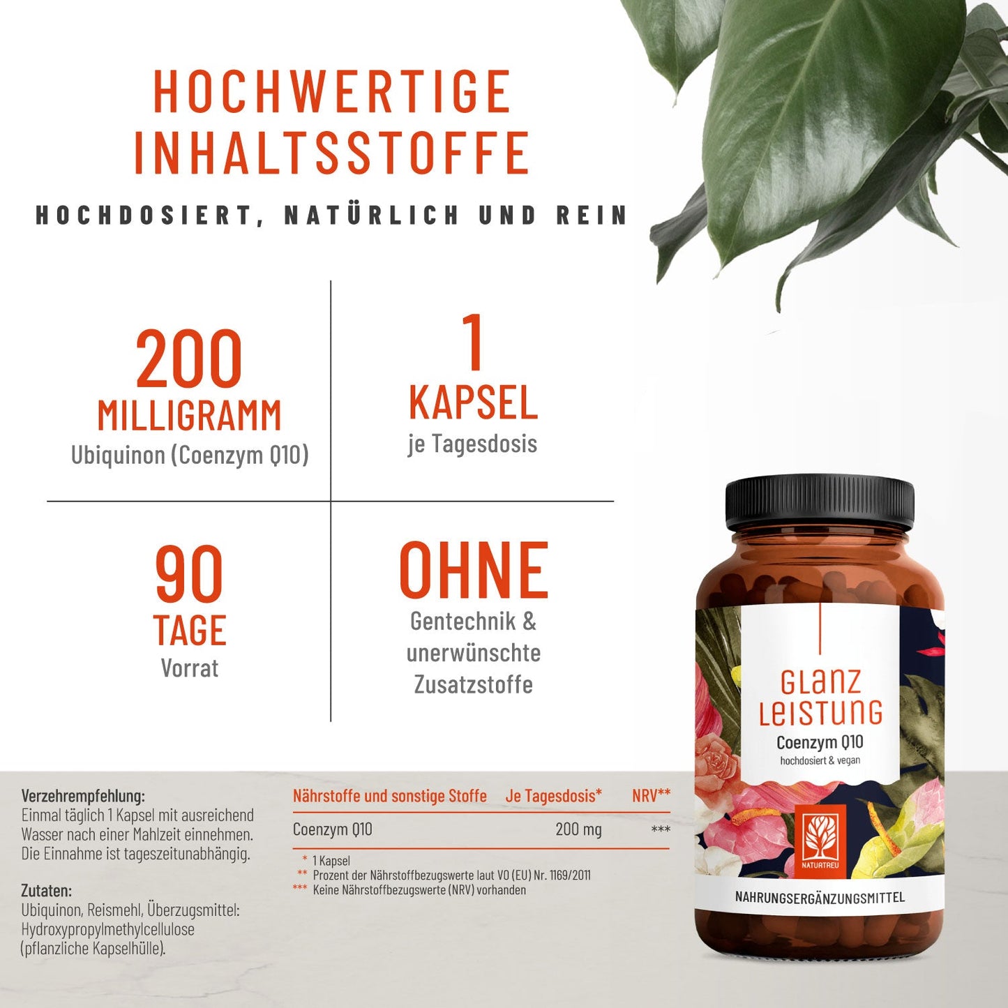 Glanzleistung Coenzym Q10 Hochwertige Inhaltsstoffe