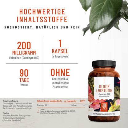 Glanzleistung Coenzym Q10 Hochwertige Inhaltsstoffe