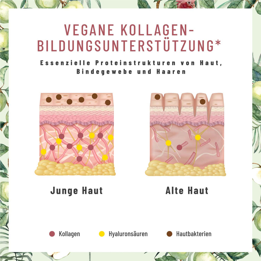 Glanzvoll Vegane-Kollagen-Bildungsunterstuetzung Kollagen 