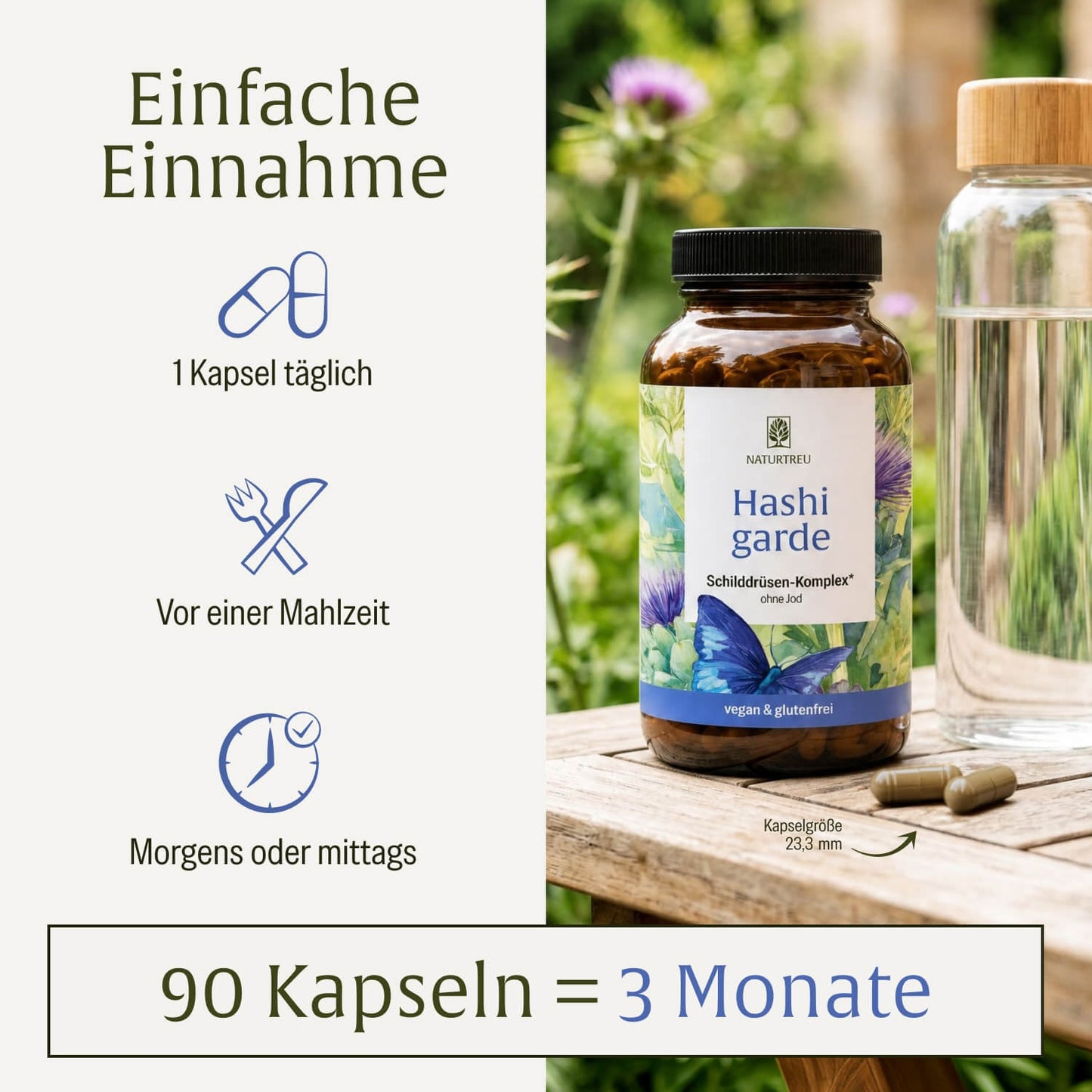 Hashigarde: Schilddrüsen Komplex ohne Jod