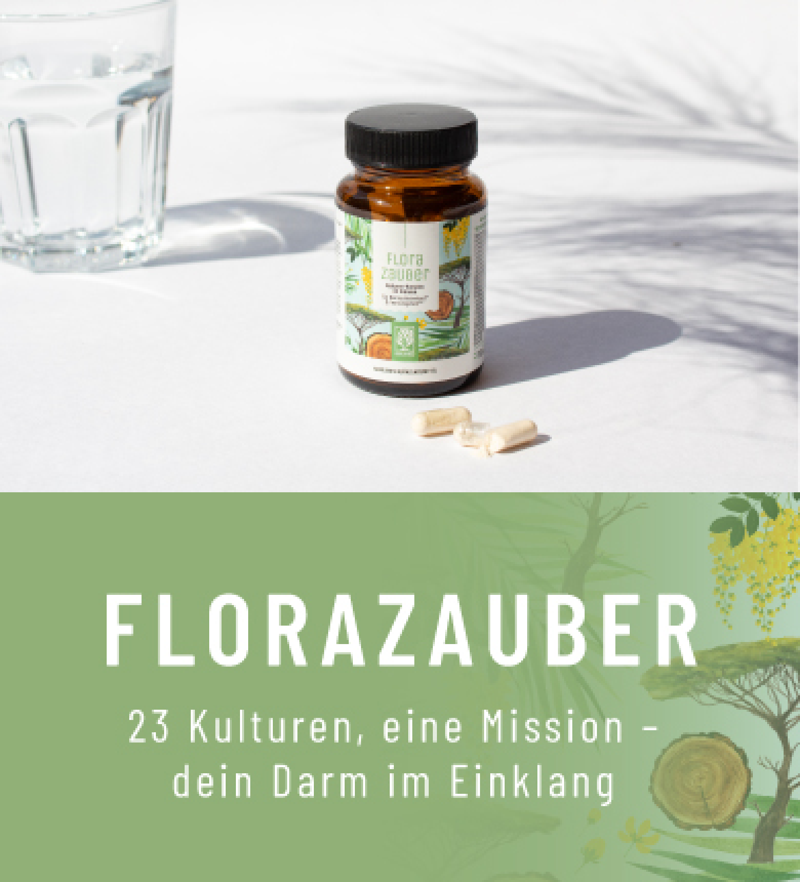 Header-Florazauber-Abo.png?v=1755525569\u0026width=3200