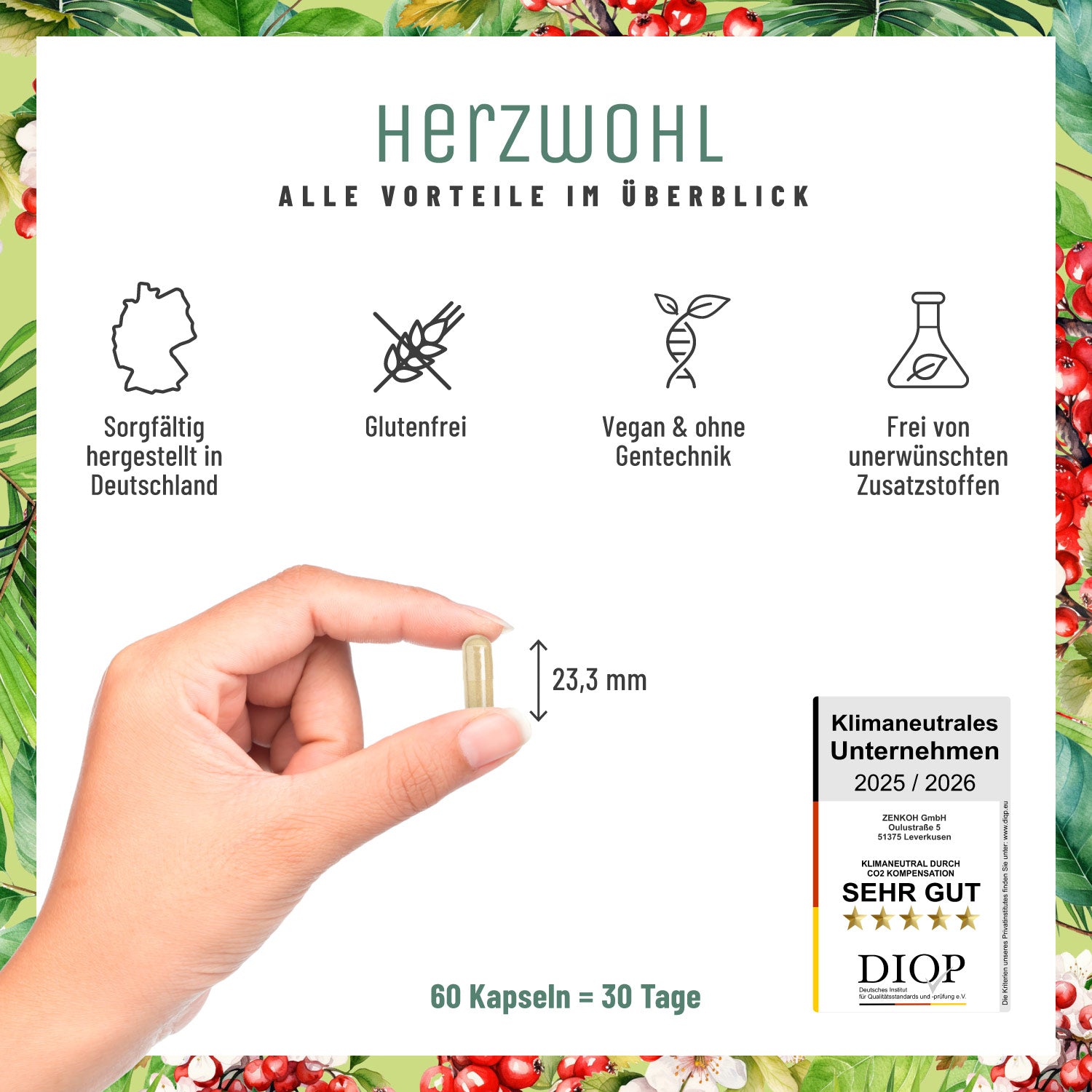 Herzwohl Weissdorn Arjuna Kakao Q10 Vitaminb1 Alle Vorteile 