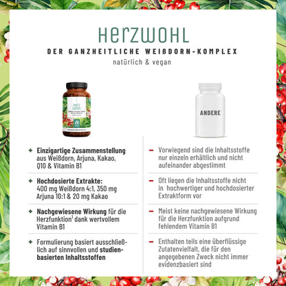 Herzwohl Weissdorn Arjuna Kakao Q10 Vitaminb1 Vergleichstabelle 