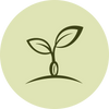Keimling  <br>0€ – 99€