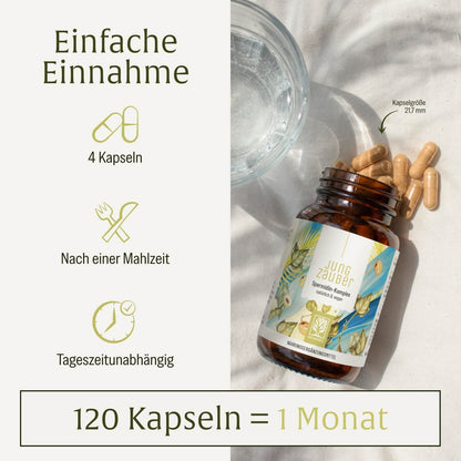 Jungzauber: Spermidin-Komplex