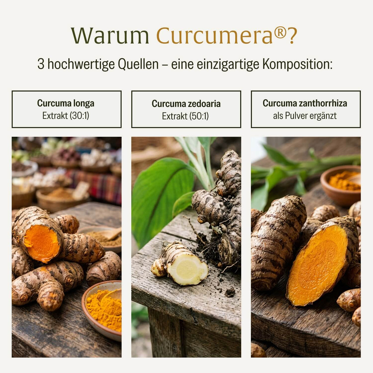 Königskurkuma: Curcumera® Premium-Komposition