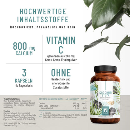 Knochenstark Calcium Vitamin C Hochwertige Inhaltsstoffe
