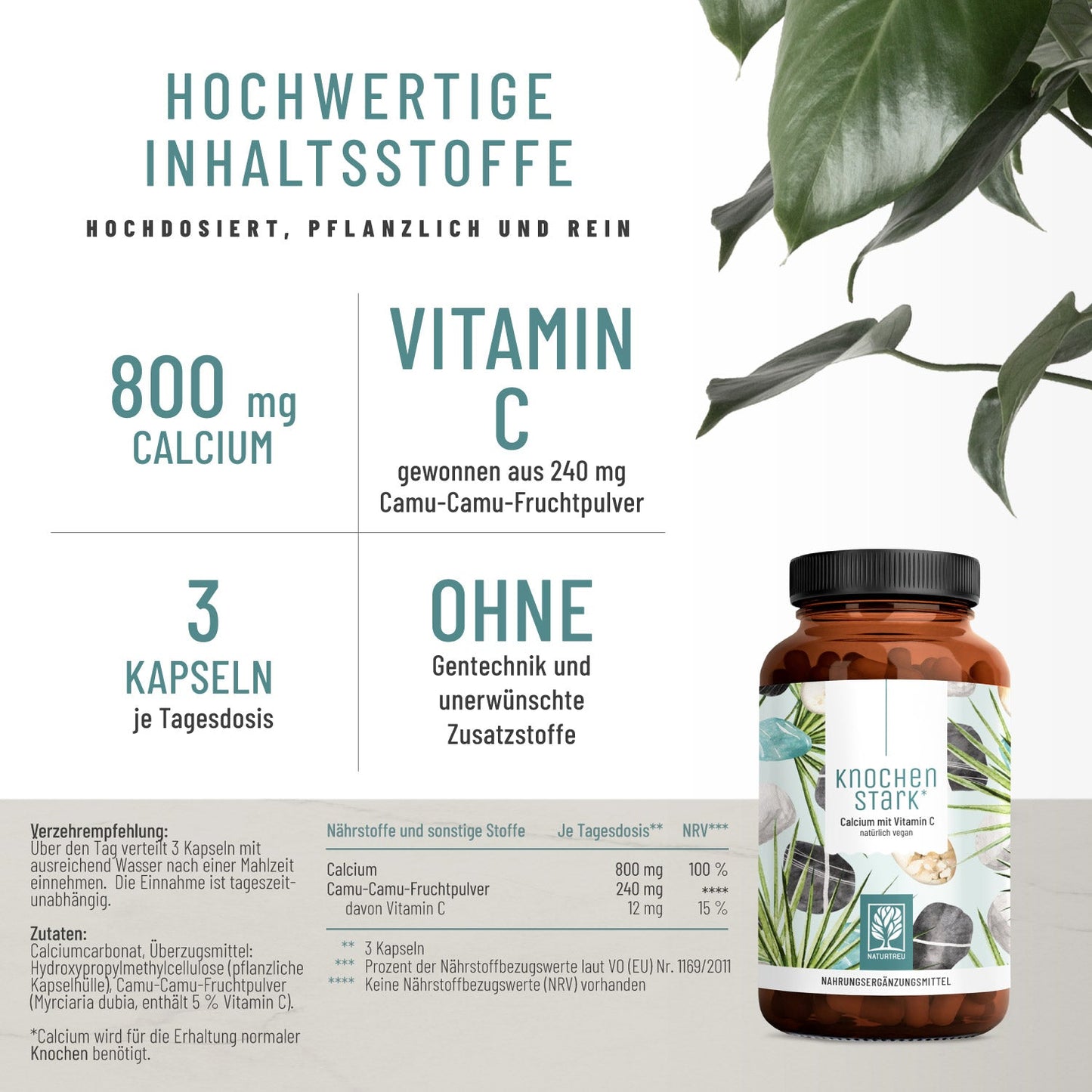 Knochenstark Calcium VitaminC Hochwertige Inhaltsstoffe