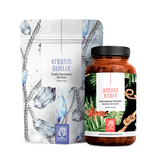 Kraft-Paket: Kreatin-Monohydrat & Aminosäuren-Komplex
