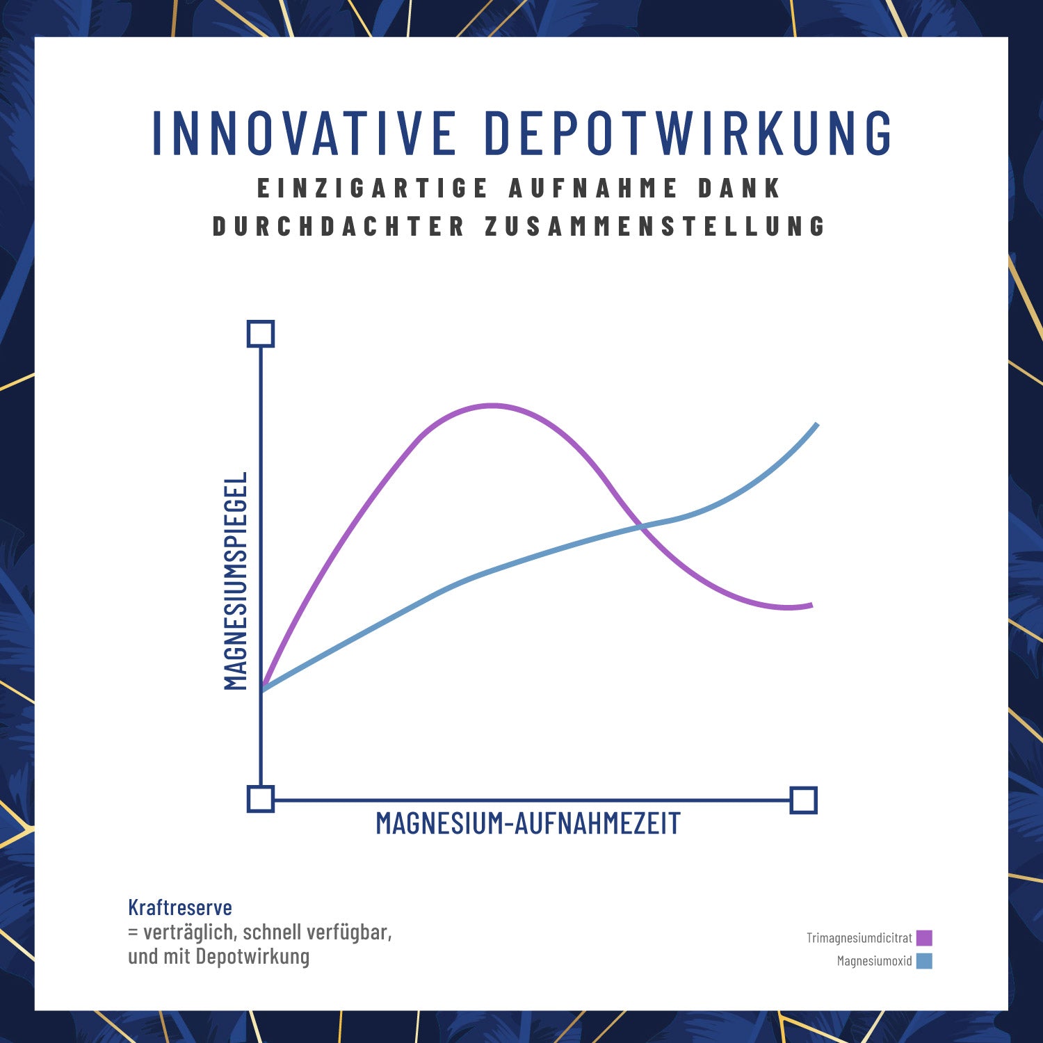Kraftreserve Magnesium-komplex Depotwirkung