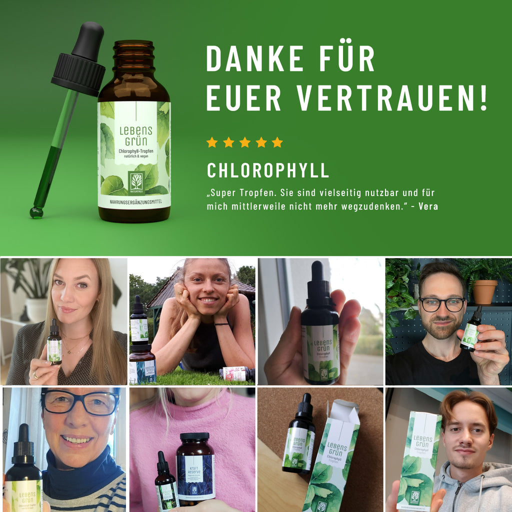 Lebensgrün Chlorophyll Tropfen Erfahrungen