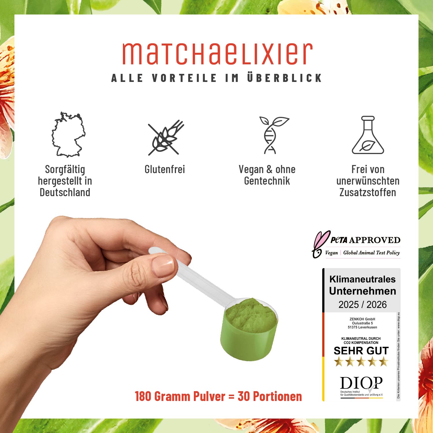 Matchaelixier Matcha Lucuma Morninga Alle Vorteile