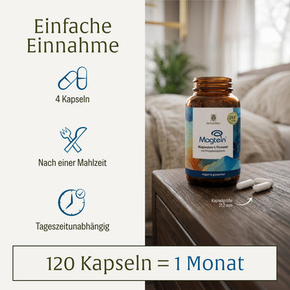 Magtein®: Magnesium-L-Threonat mit Phosphatidylserin