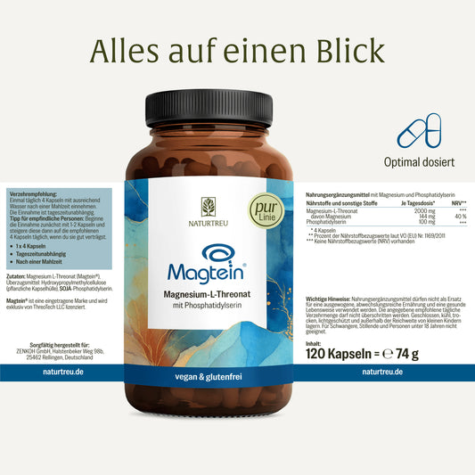 Magtein®: Magnesium-L-Threonat mit Phosphatidylserin