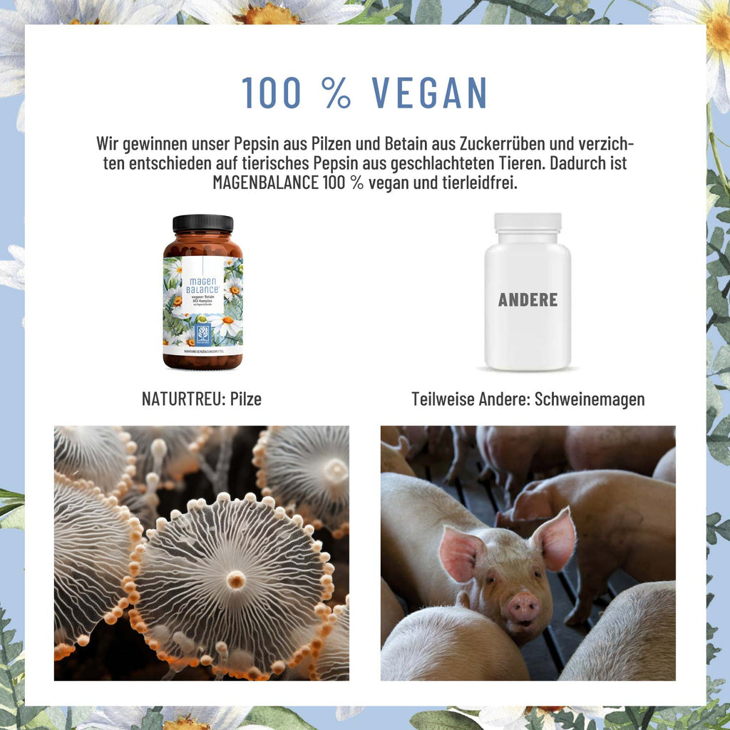 Magenbalance Betain HCI Komplex 100% Vegan