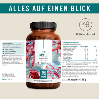 Meeresperle irish sea moss Etikett 